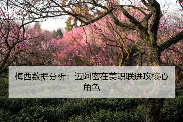 梅西数据分析：迈阿密在美职联进攻核心角色